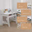Kids 2 Piece and Chair Set