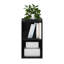Heintje 2-Tier Open Shelf Bookcase-308193827