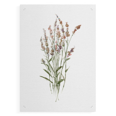 Dainty Botanical II -Canvas Print Only - NOT FRAMED