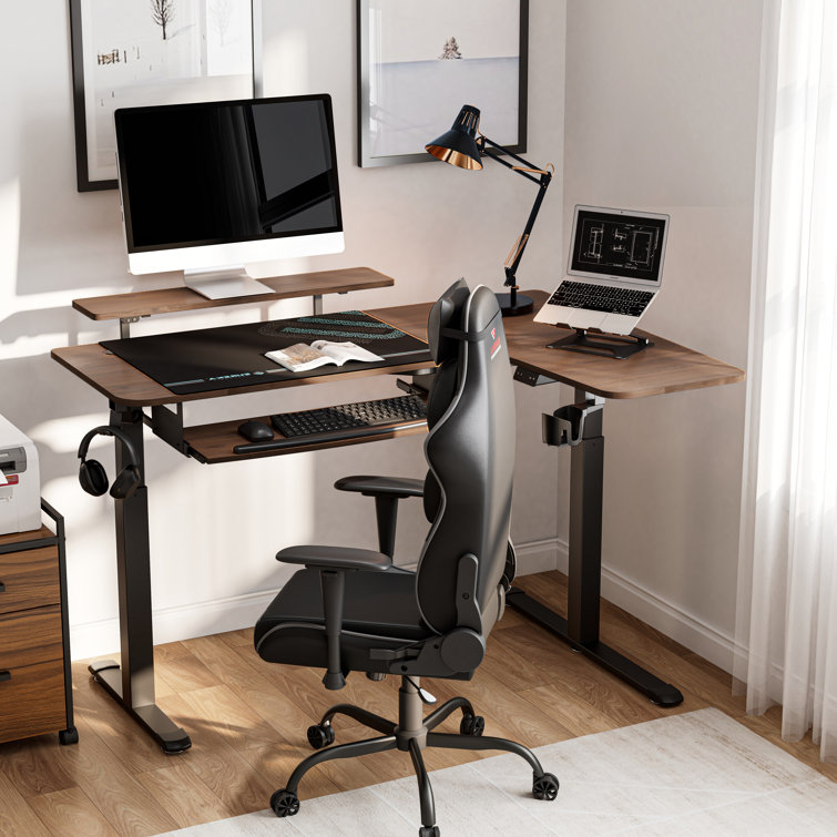 Eureka Ergonomic Corner L Shaped Standing Desk with Monitor Stand & LED  Strips, Dual Motor & Reviews