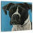 Brampt Boxer Black Boxer-109373411