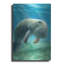«Five Of Earth-Manatee» par Dan Craig, art mural en métal-991619250