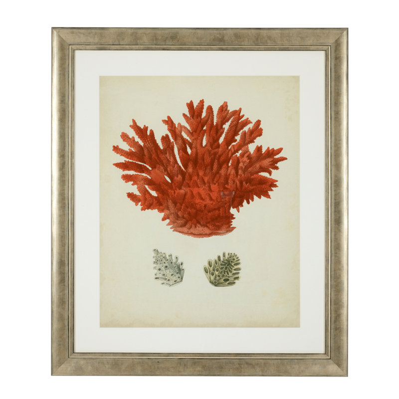 Antique Corals Print