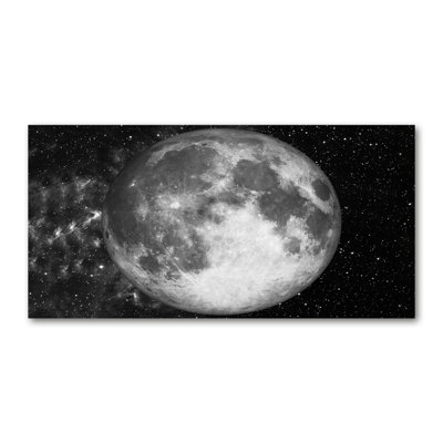 Moon 1 Piece Wall Art on Canvas