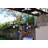 Cheng Outdoor Pendant