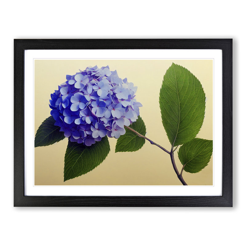 Hydrangea Flowers Vol.3 1 Piece Single Picture Frame Wall Art, 25cm H x 34cm W x 2cm D, Black