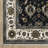 Sorusch Oriental Indoor Rug-1942442906