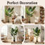 Fausse plante palmier de voyage-846183084