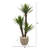 Faux Yucca Tree in Ceramic Planter-501122167