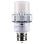 35 Watt White LED Bulb
