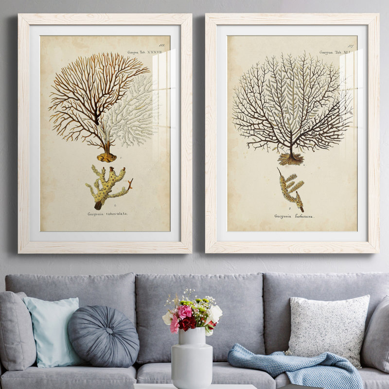 Toile encadrée Esper Sea Fans, H 31,5 po x l 47 po x P 1,5 po, Papier encadré blanc, Blanc