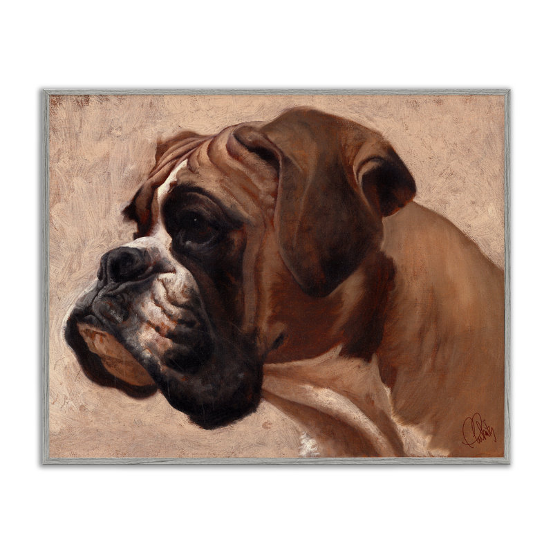 «Boxer Dog Neutral Portrait», estampe numérique par Thomas Fluharty, Estampe numérique Farmhouse, H 11 po x l 14 po