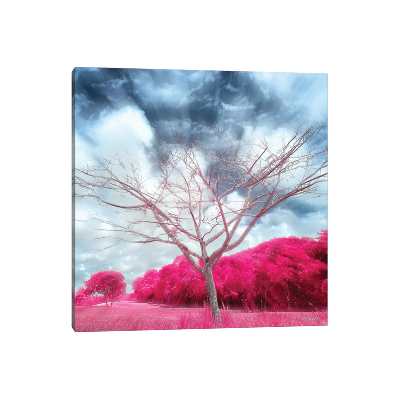 Pygmybirch by Glauco Meneghelli - Wrapped Canvas Painting, 66.04 cm H x 66.04 cm W x 1.91 cm D