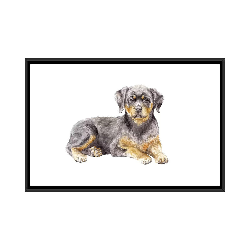 «Rottweiler Puppy», reproduction sur toile, H 18 po x l 26 po x P 1,5 po, Toile avec cadre noir, Pas de tapis