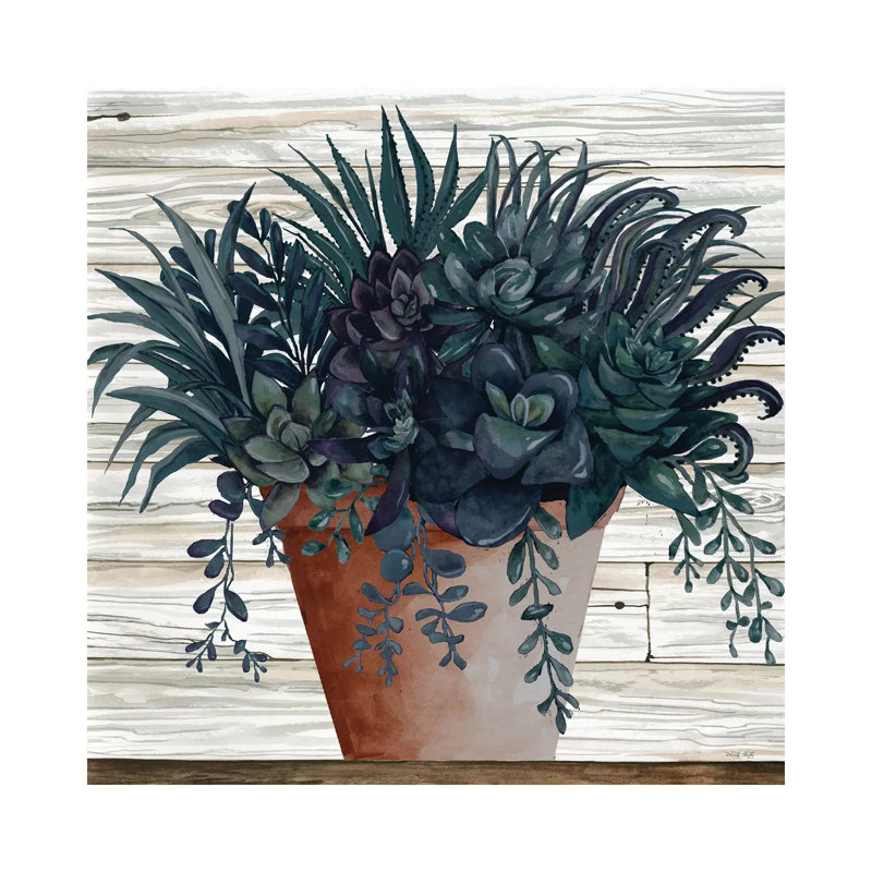 Remarkable Succulents I by Cindy Jacobs - Print on Canvas, Wrapped Canvas, 66.04cm H x 66.04cm W x 1.91cm D