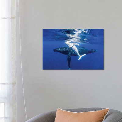 «The Dancing Whale» par Jordan Robins - reproduction d'art