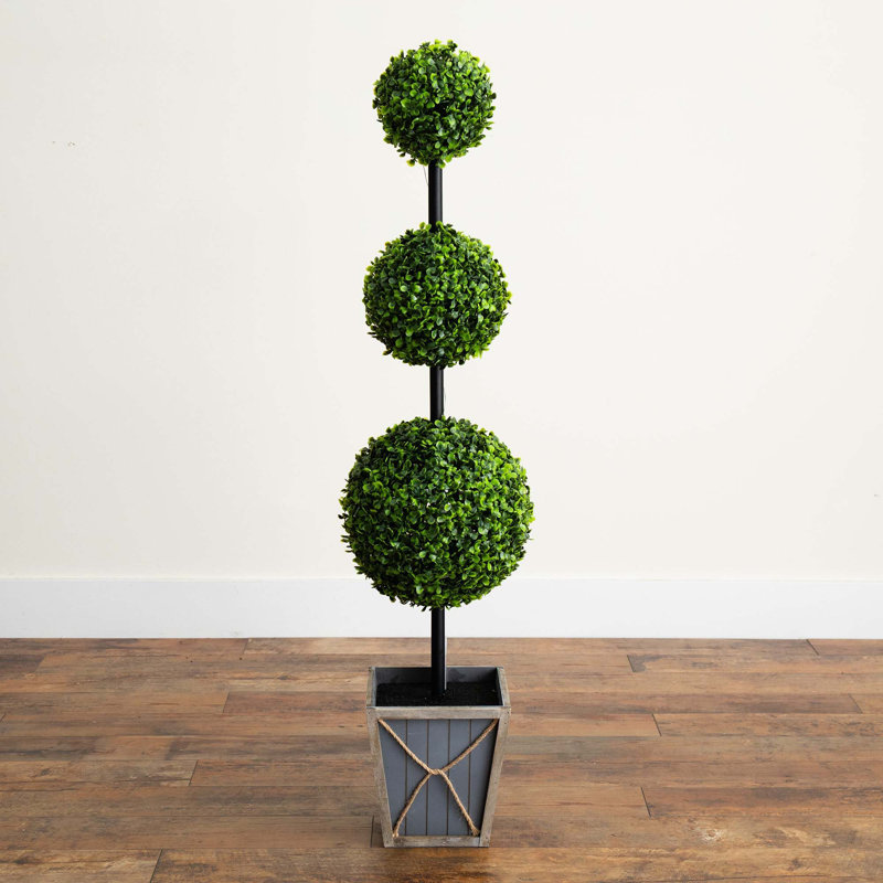 Plante de 45 po