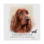 « irish red setter », reproduction d’impression sur toile tendue-26854529
