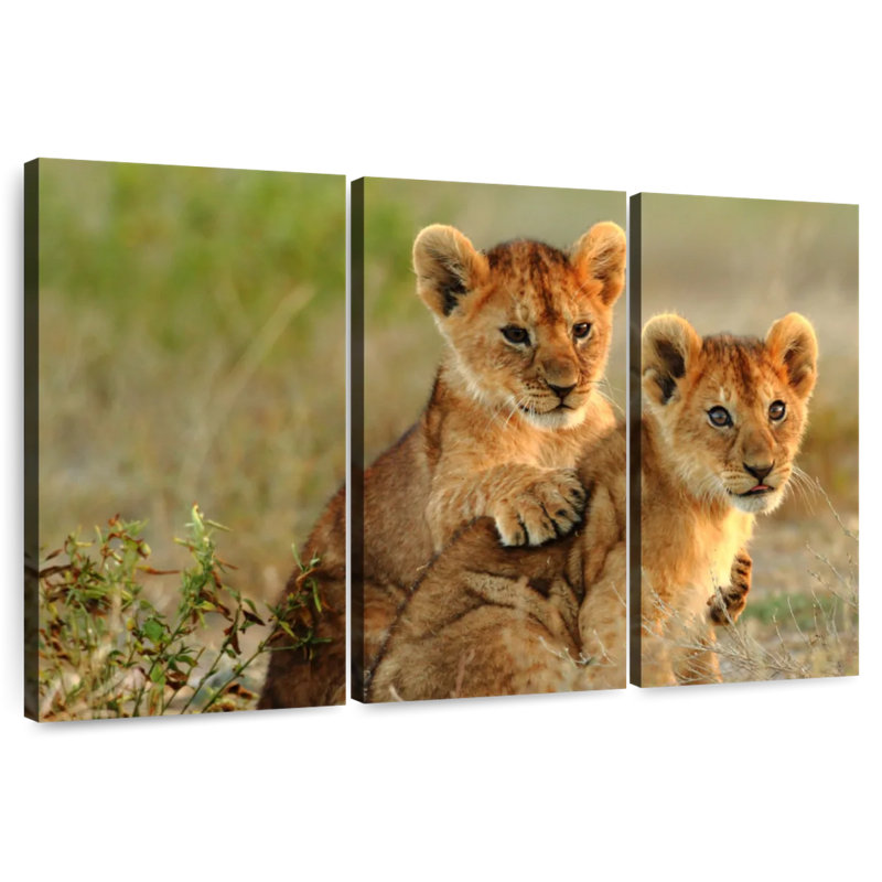Brampt Baby Lions, 48" H x 74" W