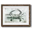 Neutre crabe I - impression d'un seul cadre photo-1758316485