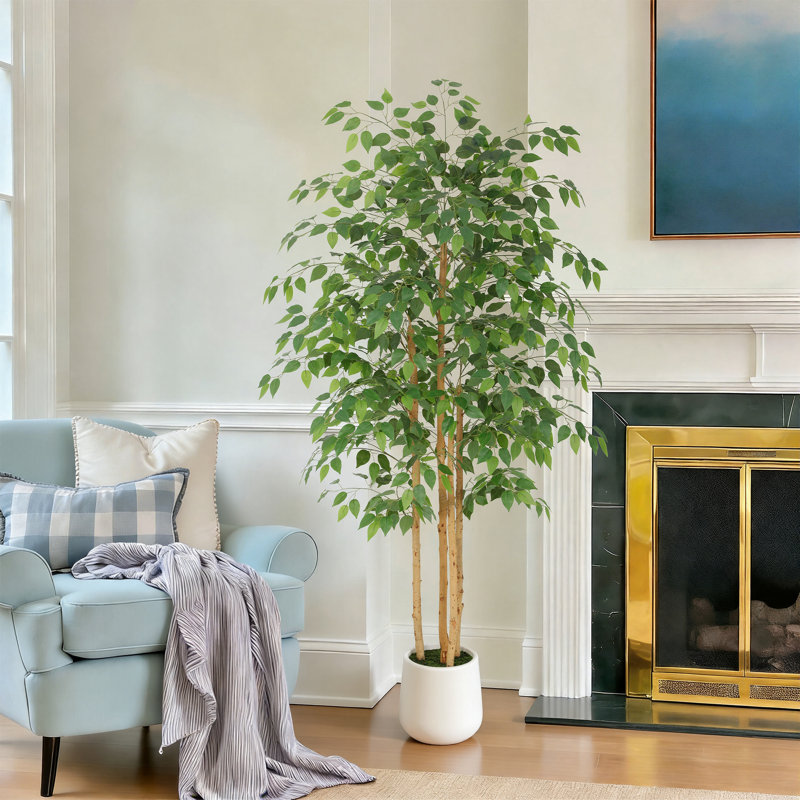 Ficus artificiel en figuier blanc en pot décoratif, plante artificielle réaliste avec bois naturel multi-troncs pour la décoration de bureau personnel