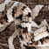 Union Rustic Hermitage Rug