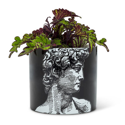 Aashka Ceramic Pot Planter
