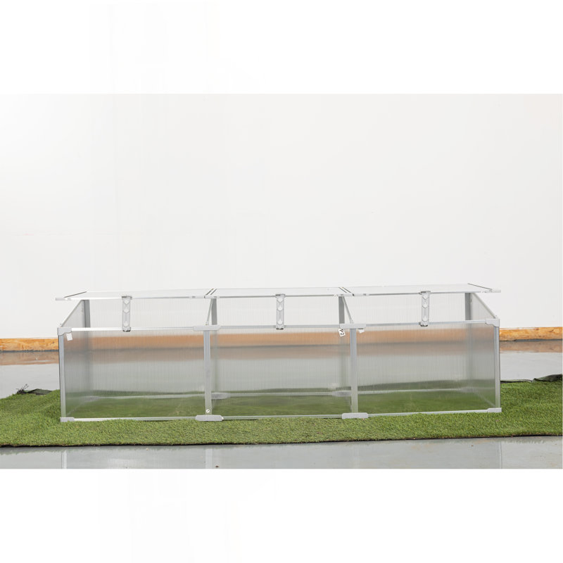 Serre en polycarbonate pour l'extérieur en hiver