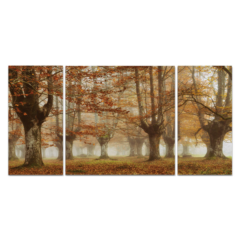 « misty pan », photo multi-parties sur toile, H 24 po x l 48 po x P 1,5 po