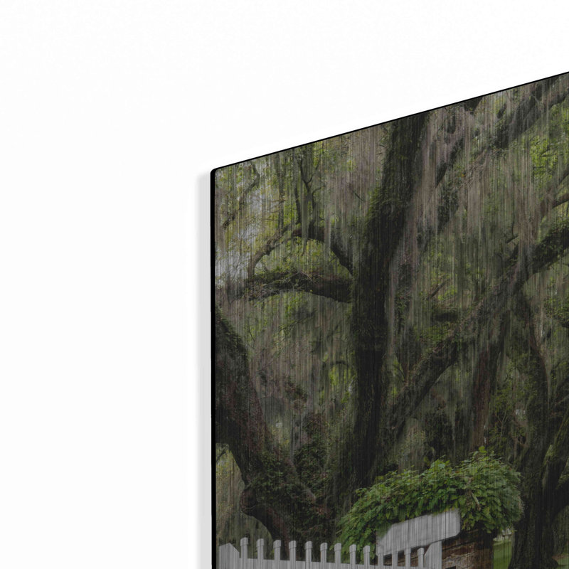 Plantation Road par Daniel Burt - Photographie sans cadre sur métal, H 24 po x l 36 po x P 0,13 po