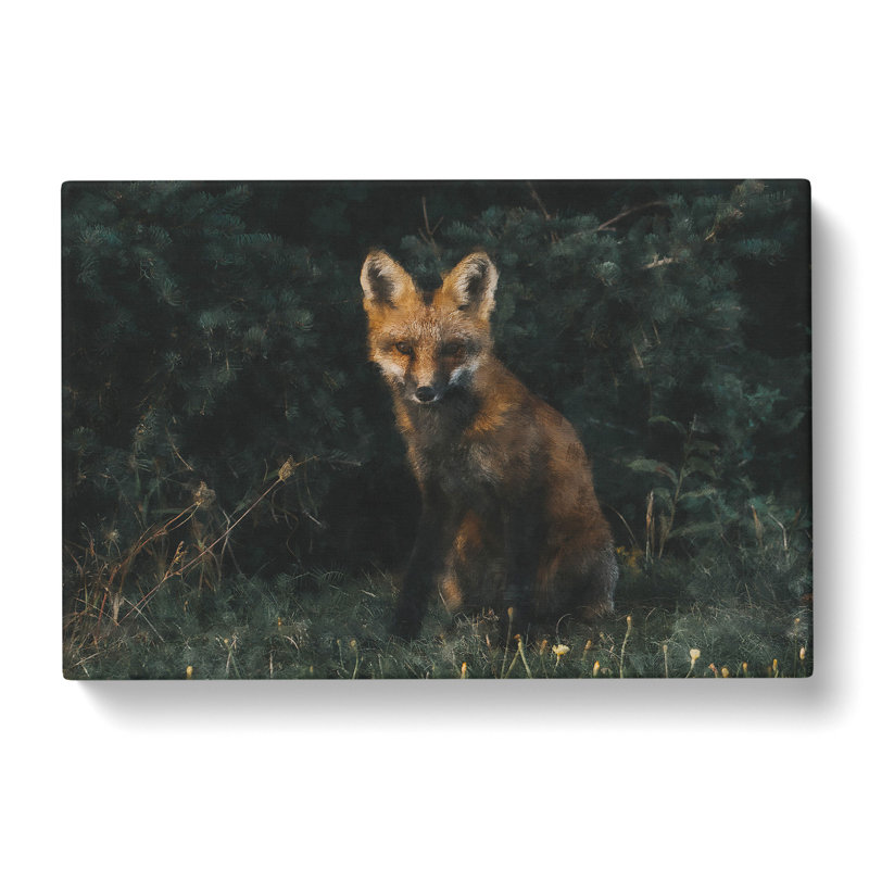 Portrait Of A Fox - Wrapped Canvas Print, 40cm H x 60cm W x 3cm D