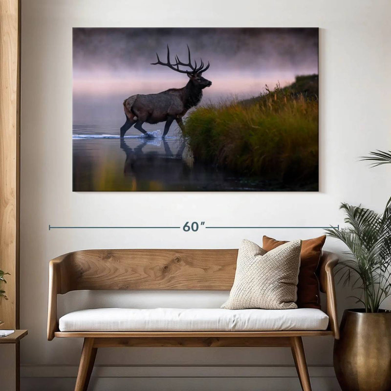 Wapiti dans l'eau, H 34 po x l 51 po