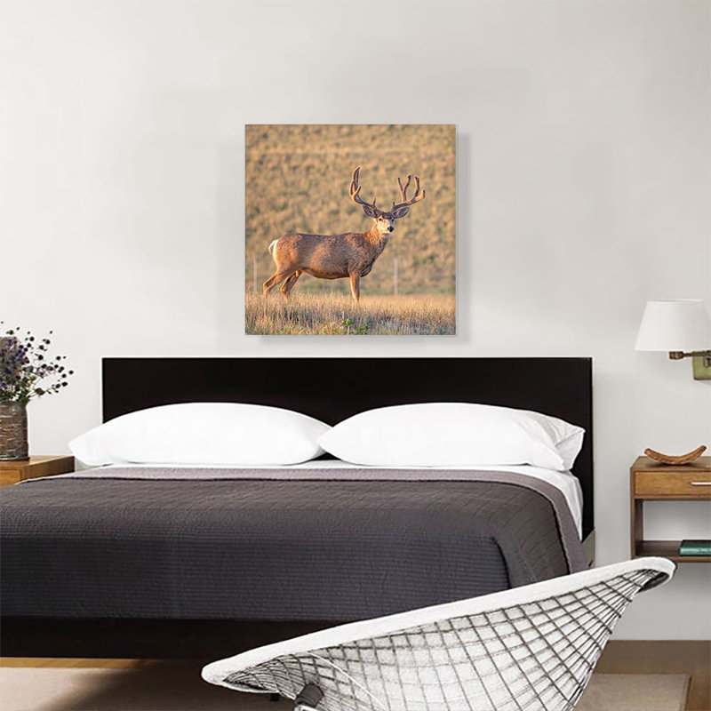 Deer in Wild Field Home Decor - Reproduction de photo sur toile tendue, H 26 po x l 26 po x P 1,5 po