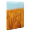 Wheatfield In Germany - Wrapped Canvas Print-56634667