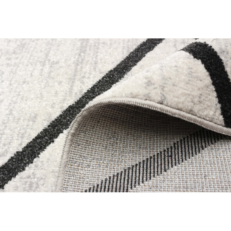 Delphinia Area Rug in Ivory/Black, Rectangle 3' x 5'