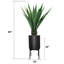 Plante de 63,5 po en forme de serpent