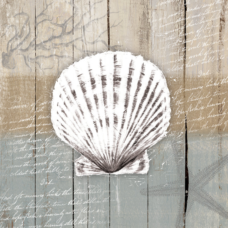 Calm Shell - Wrapped Canvas Print, 30cm H x 30cm W x 3.8cm D