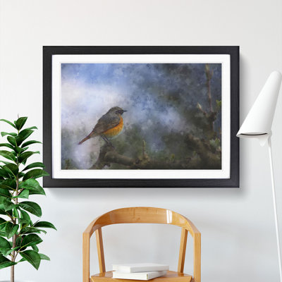 Common Redstart Bird - Picture Frame Graphic Art