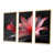 Natural Floater Framed Canvas