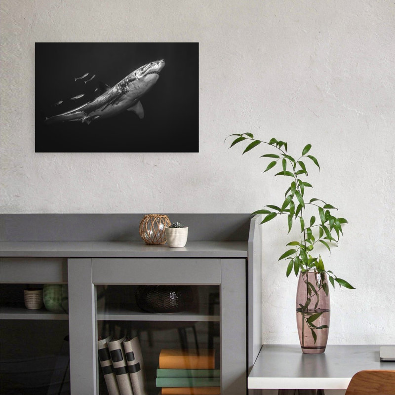 Great White Predator Contemporary Fish Shark Nature Ocean Wall Art Print, 12" H x 18" W