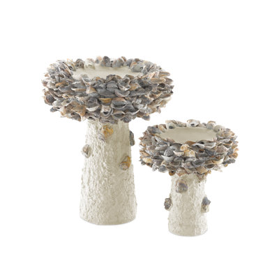 Bain d'oiseaux Oyster Shell