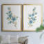 Wildflower Sprig I - ensemble de 2 reproductions d'art sur toile encadrées-1851692936-1851692934