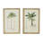 S/2 Tree Framed Print, 15.5x23.5"