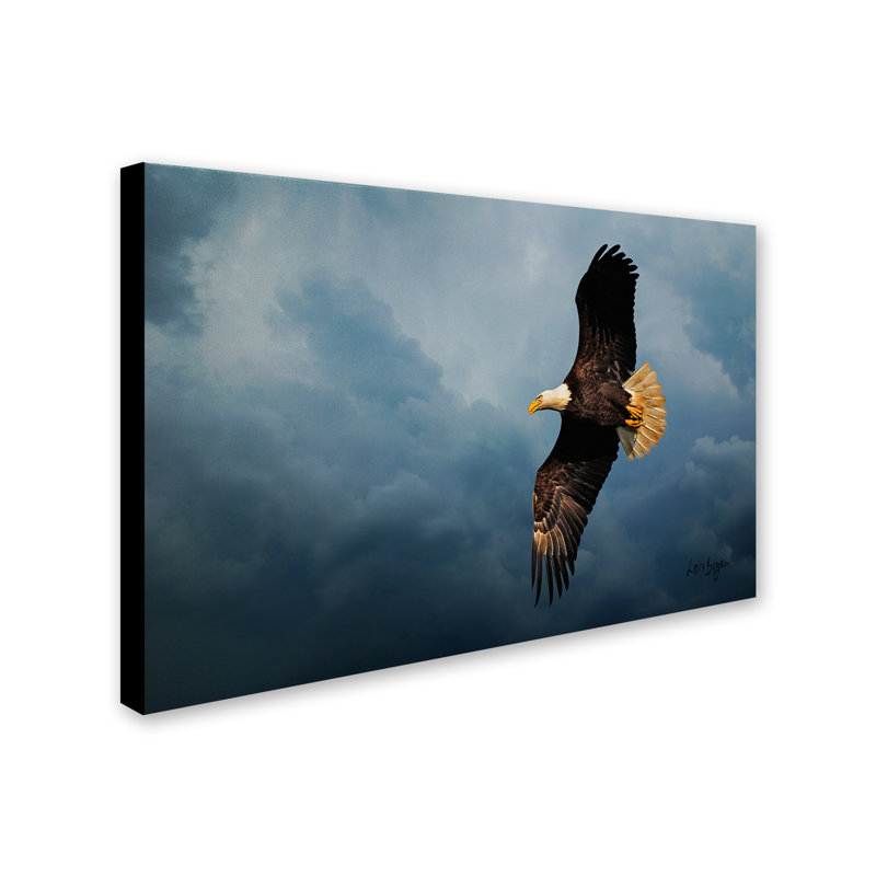 «Eagle in the Sky» par Lois Bryan, reproduction sur toile