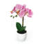 Centres de table orchidées phalaenopsis en pot-1996288491-1994886769