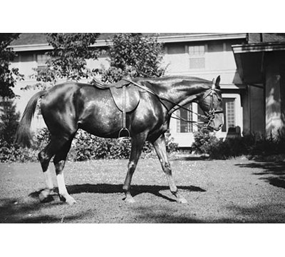 " General Pershing "