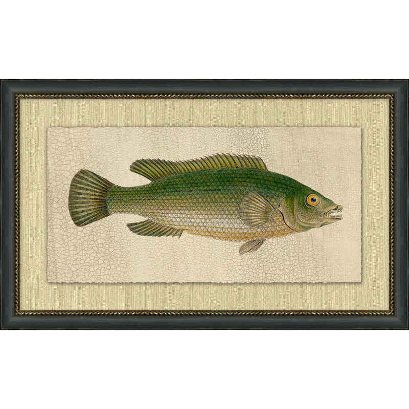 Fish Study 1 Painting
