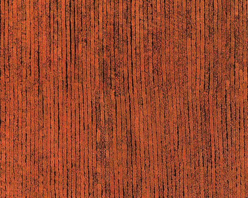 Hidden Path Striped Area Rug in Black/Orange, Rectangle 2' x 3'