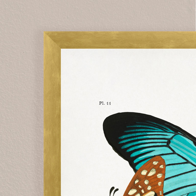 Nature Inspired " 1" Framed Print Wall Art, 10" H x 8" W 