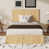 Light Brown